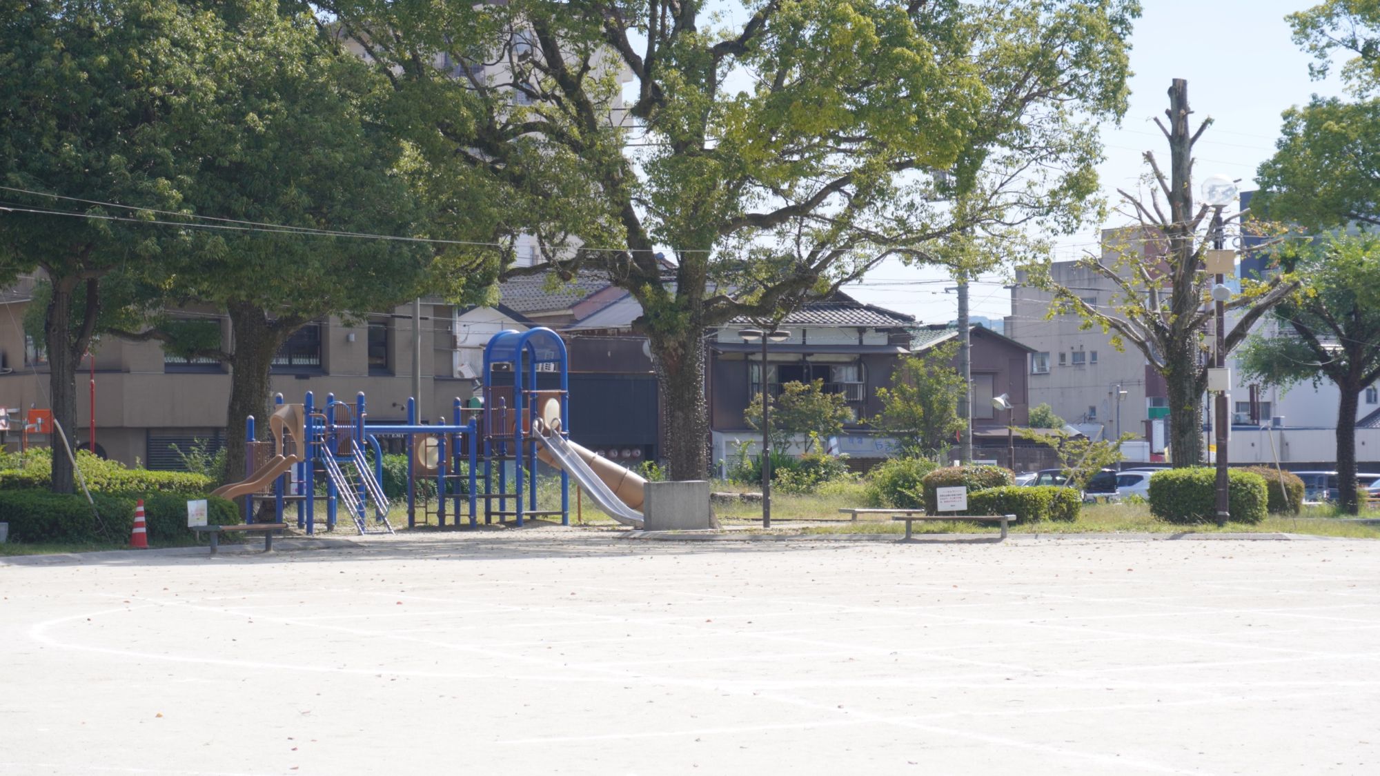 公園の大きな木と遊具